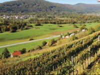 Holiday home Dvor 43