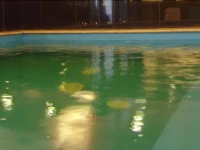 Hotel Corvin 3*