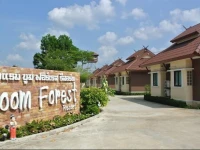Boom Forest Resort 3*