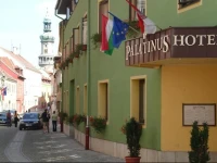 Palatinus Hotel 3*
