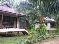 Khao Sok Palm Garden Resort