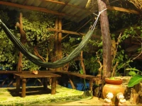 Monkey Mansion Bungalows 