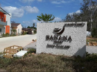Banana Resort