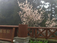 Wankou Hotel