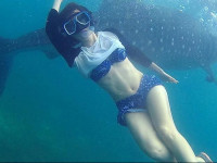 Nemo Guest House