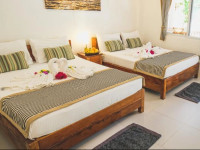 Evolution Dive and Beach Resort
