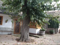 Country House Pod dudom AljmaЕЎ 
