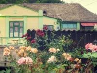 Country House Baranjski Raj 