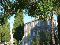 Phara Hostel 