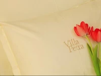 Villa Bol 