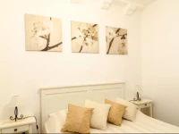Zen Room Guest House 
