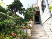 House Cvetka 