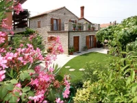 Emma Guest House 