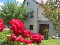 Olbina Guest House 