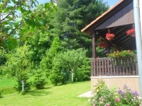 House Petra 