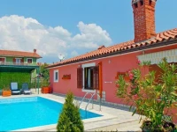 Istrian Violin Premium 