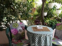 Damir Guest House 