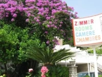Bed and Breakfast Perun House 