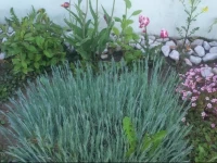 Gorski Vrh Holiday Home 