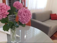 Apatment RubeЕЎi 180 