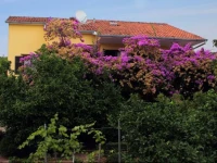 Double Room Stari Grad 100a 