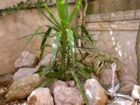 Villa I Karma 3*