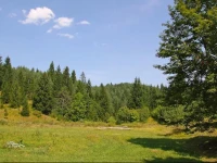 Villa GoraГ„ВЌi 