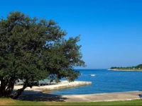 Happy Camp mobile homes in Campingin Park Umag 