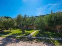 Maslina Guest House 