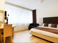 Rooms Scallop 