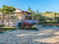 Flora Holiday Home 