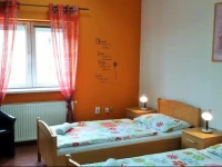 Chameleon Hostel 