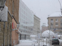 Heart of the City Hostel