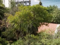 Njegoseva Holiday Home 