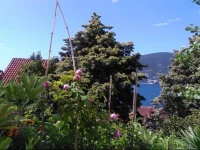Homestay Mira 