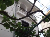 Villa Nadila 