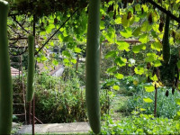 Guesthouse Skadar Lake