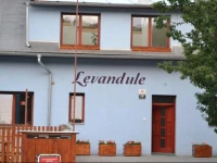 Levandule 