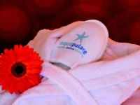 Aquapalace Hotel Prague 4*