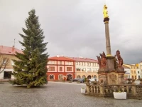 Penzion Adler 