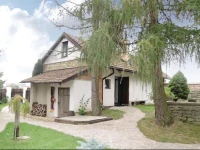 Libchavy with Fireplace XI Holiday Home 