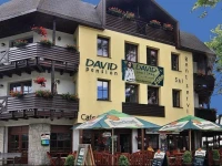 David Wellness Hotel 