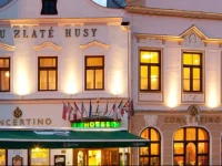 Concertino ZlatГЎ Husa Hotel 
