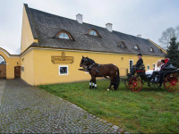 DvЕЇr OlЕЎiny -Hotel and Horse-riding