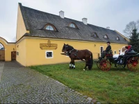 DvЕЇr OlЕЎiny -Hotel and Horse-riding 