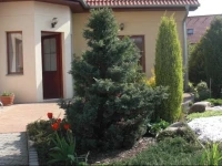 Pension Olga 
