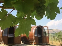 VinaЕ™stvГ­ Pod Hradem 