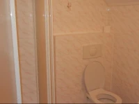 Pod Lesem MerklГ­n Guest House 
