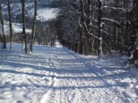 Privat Pohoda 