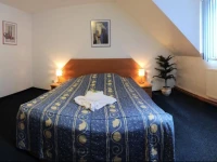 Wellness Hotel Svoboda 